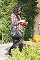 hudgens-plaid