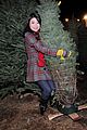 miranda-tree