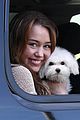 miley-sophie