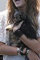 miley-puppy