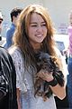 miley-puppy