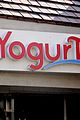 miley-yogurtree
