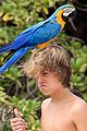 sprouse-parrot