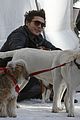 zac-dogs