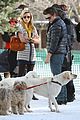zac-dogs