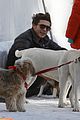 zac-dogs