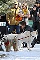 zac-dogs