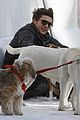 zac-dogs