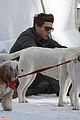 zac-dogs