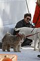 zac-dogs
