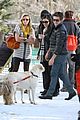 zac-dogs