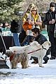 zac-dogs