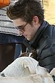 zac-dogs