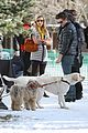 zac-dogs