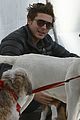 zac-dogs