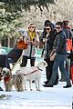 zac-dogs