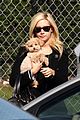 tisdale-joe