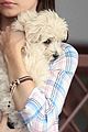 sarah-hyland-puppy