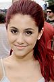 ariana-picnic