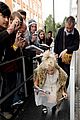 pixie-hmv