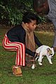 willow-whip