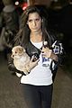 tisdale-lax
