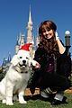 debby-santapaws