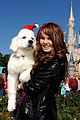 debby-santapaws