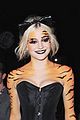 pixie-tiger