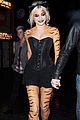 pixie-tiger