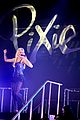 pixie-tiger