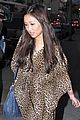 brenda-cheetah