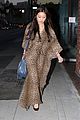 brenda-cheetah