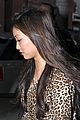 brenda-cheetah