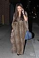 brenda-cheetah