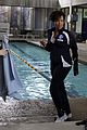 shay-sharks