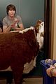 btr-cow