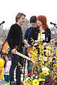 daisies-festival