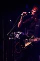monkeys-highline