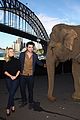 pattinson-sydney