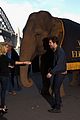 pattinson-sydney
