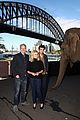 pattinson-sydney
