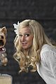 sharpay-dogs