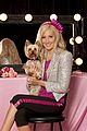 sharpay-stone