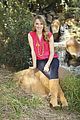 bridgit-ffc