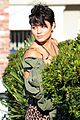 hudgens-leopard