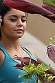 hudgens-hawaii