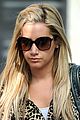 tisdale-cheetah