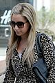 tisdale-cheetah