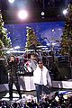 bieber-tree